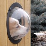 Fenêtre de clôture, dôme en acrylique durable pour animaux de compagnie, fenêtre d'observation pour chats ... Fenêtre de clôture, dôme en acrylique durable pour animaux de compagnie, fenêtre d'observation pour chats ...