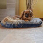 Ferplast coussin pour chien et chat stuart 89 / 10 bleu