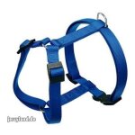 Ferplast harnais en nylon pour chiens champion xl bleu