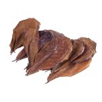 Feuille d'amandier indien pour aquarium, 20 pièces / lot, feuille d'olivier pour eau a equilibre ph, ... Feuille d'amandier indien pour aquarium, 20 pièces / lot, feuille d'olivier pour eau a equilibre ph, ...