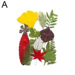 Feuilles sches naturelles, fleurs vertes, bricolage, cristal, rsine epoxy, sous - verre, pour bijoux ...