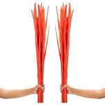 Feuilles de palmier s�ch�es naturelles orange 113 cm, lot de 2 bouquets de 34 branches, d�coration boho ...