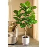 Ficus lyrata plante artificielle vert h150
