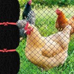Filet anti - oiseaux de 7, 6 x 15, 2 m avec maille carrée de 2, 5 cm, filet de jardin réutilisable pour ... Filet anti - oiseaux de 7, 6 x 15, 2 m avec maille carrée de 2, 5 cm, filet de jardin réutilisable pour ...