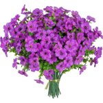 Fleurs artificielles violettes - lot de 9 - 36 cm - d�coration int�rieur / ext�rieur