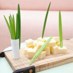 Fourchette a fruits en feuille de bambou, ustensile de cuisine, gadgets, collation aux fruits, cure - ...