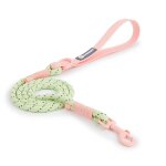 Fournitures pour animaux de compagnie collier pour chien pour petit et moyen chien marche sucre couleur ...