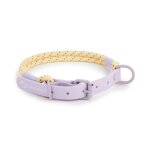 Fournitures pour animaux de compagnie collier pour chien pour petit et moyen chien marche sucre couleur ...