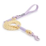 Fournitures pour animaux de compagnie collier pour chien pour petit et moyen chien marche sucre couleur ...