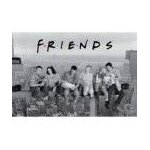 Friends poster friends (91, 5 x 61 cm)