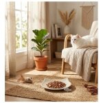 Gamelle plat en c�ramique pour chat anti - stress filou 60 ml vert