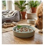 Gamelle ronde anti glouton pour chien sena vert menthe
