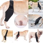 Genouill�re pour les chiens genouill�re pour animaux enveloppement de la jambe avant arri�re arri�re ...
