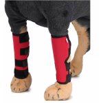 Genouill�res pour animaux de compagnie avec barres de soutien, prot�ge - jambes pour chiens, protection ...