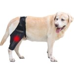 Genouillere pour chien, attelle de jambe, support de hanche pour blessures du ligament croise, ligament ...