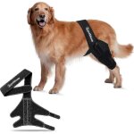 ¿m genouillre pour chien pour dchirure du lca, dysplasie de la hanche, soulagement de la douleur ...