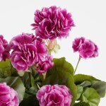 Granium plante artificielle violet en jardinire h40