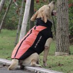 Gilet anti - chute pour chien, veste avec encolure en peluche chaude, v�tements pour grands chiens, v�tements ...