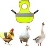 Gilet réfléchissant pour poules, garçons et filles, vert, chaud, sûr, léger, harnais pour volailles, ... Gilet réfléchissant pour poules, garçons et filles, vert, chaud, sûr, léger, harnais pour volailles, ...