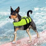 Gilet de sauvetage pour chien portable gilet de natation pour chien gilet de sauvetage pour animaux de ...