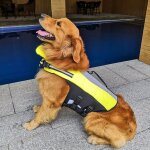 Gilet de sauvetage pour chien, v�tement de natation pliable et gonflable pour animaux domestiques, sac ...