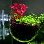 Gobelet de culture de plantes aquatiques, pot avec ventouses, aquarium, fournitures pour animaux de compagnie ...