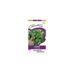 Graines de coriandre cultiv�e - aromatique - potager et verger