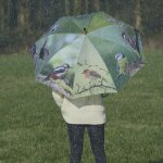 Grand parapluie bois et m�tal toile polyester oiseaux