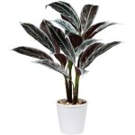Grande plante artificielle briful cordyline fruticosa 63 cm en pot blanc plante d�co int�rieur ext�rieur ...