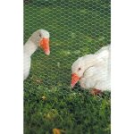 Grillage a poule 0, 5 x 10 m hexagonal galva