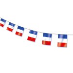 Guirlande 10 pavillons plastique drapeau france 5m