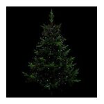 Guirlande lumineuse int�rieure et ext�rieure tomb�es de lumi�re pour sapin 170 microled blanc froid