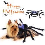 Dguisement d'araigne pour chien et chat, accessoire de cosplay, dguisement d'halloween, costume de ...