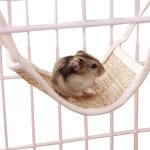Hamac pour animaux domestiques, furet, hamster, lapin, petite herbe frache, nid de sommeil respirant, ...