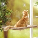 Hamac de chat mont� sur la fen�tre pour la perche du chat, lit suspendu pour animal de compagnie a ventouse ...