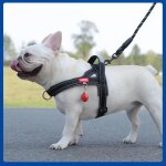 Harnais ajustable pour chien, r�fl�chissant confortable l�ger avec poign�e contr�le et anneau - noir ...