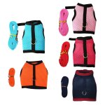 Harnais pour animaux de compagnie, ensemble gilet et laisse pour petit lapin, pour furet, cochon d'inde, ... Harnais pour animaux de compagnie, ensemble gilet et laisse pour petit lapin, pour furet, cochon d'inde, ...