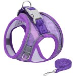 Harnais anti - fugue pour chat, harnais chaton réglable, harnais et laisse sécurité avec bande réfléchissante ... Harnais anti - fugue pour chat, harnais chaton réglable, harnais et laisse sécurité avec bande réfléchissante ...