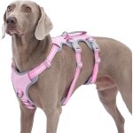 Harnais anti - fugue et anti - traction pour grands chiens, durable, gilet r�glable pour la marche et ...
