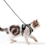 Harnais chat anti - evasion harnais chaton laisse pour chaton anti fugue arnet chat réglable harnet chaton ... Harnais chat anti - evasion harnais chaton laisse pour chaton anti fugue arnet chat réglable harnet chaton ...