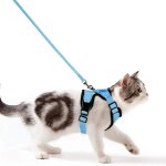 Harnais chat anti - evasion harnais chaton laisse pour chaton anti fugue arnet chat rglable harnet chaton ...