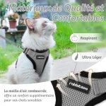 Harnais chat anti evasion avec laisse gris m, harnais chaton petit chien réglable, collier harnais et ... Harnais chat anti evasion avec laisse gris m, harnais chaton petit chien réglable, collier harnais et ...