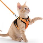 Harnais chat anti evasion avec laisse orange xxs, harnais chaton petit chien réglable, collier harnais ... Harnais chat anti evasion avec laisse orange xxs, harnais chaton petit chien réglable, collier harnais ...