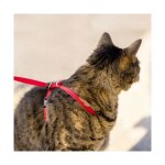 Harnais chat easy walk et laisse rouge taille m