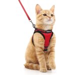 Harnais chat avec laisse, harnais chaton respirant et bande r�fl�chissante gilet petit chien r�glable ...