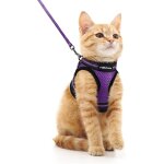 Harnais chat avec laisse, harnais chaton respirant et bande réfléchissante gilet réglable violet m collier ... Harnais chat avec laisse, harnais chaton respirant et bande réfléchissante gilet réglable violet m collier ...