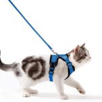 Harnais chat petit chien laisse harnais chaton r�glable gilet refl�chissant respirant, collier harnais ...