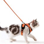 Harnais chat petit chien laisse harnais chaton réglable gilet refléchissant respirant, collier harnais ... Harnais chat petit chien laisse harnais chaton réglable gilet refléchissant respirant, collier harnais ...
