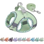 Harnais pour chien anti - evasion, gilet anti - traction avec laisse, maille respirante, bandes rflchissante ...