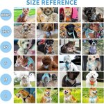 Harnais pour chien anti - evasion, gilet anti - traction avec laisse, maille respirante, bandes rflchissante ...